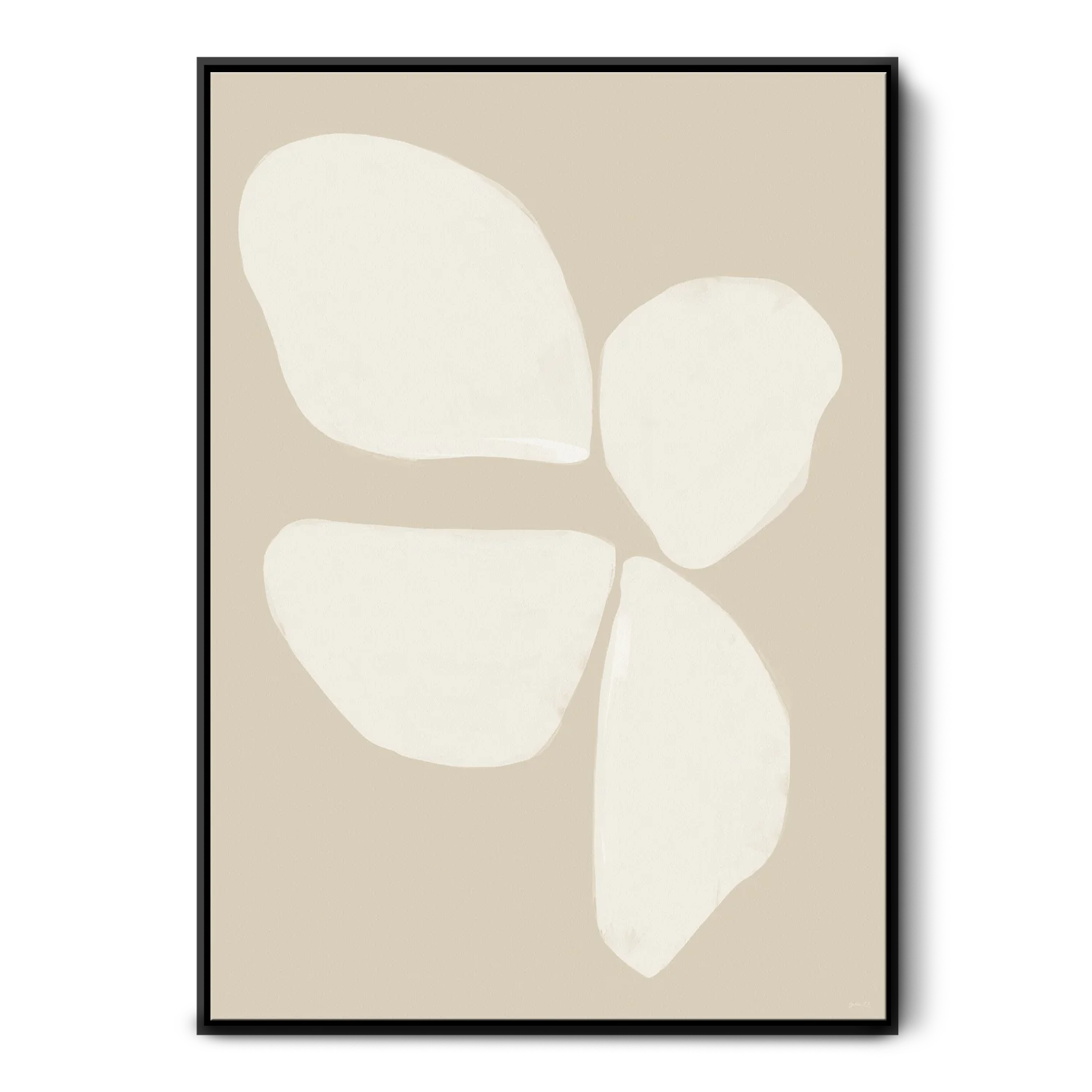 Neutral Anemone Flower