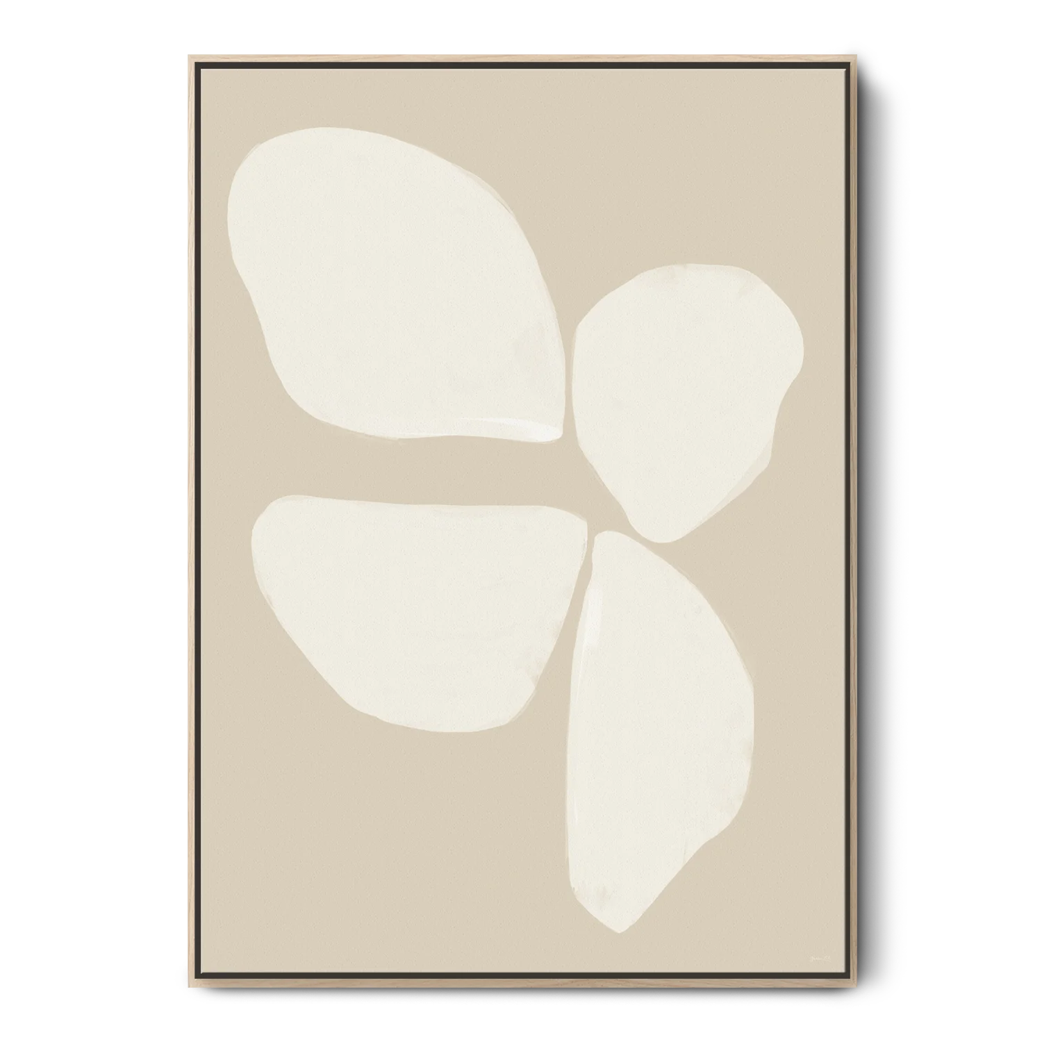 Neutral Anemone Flower