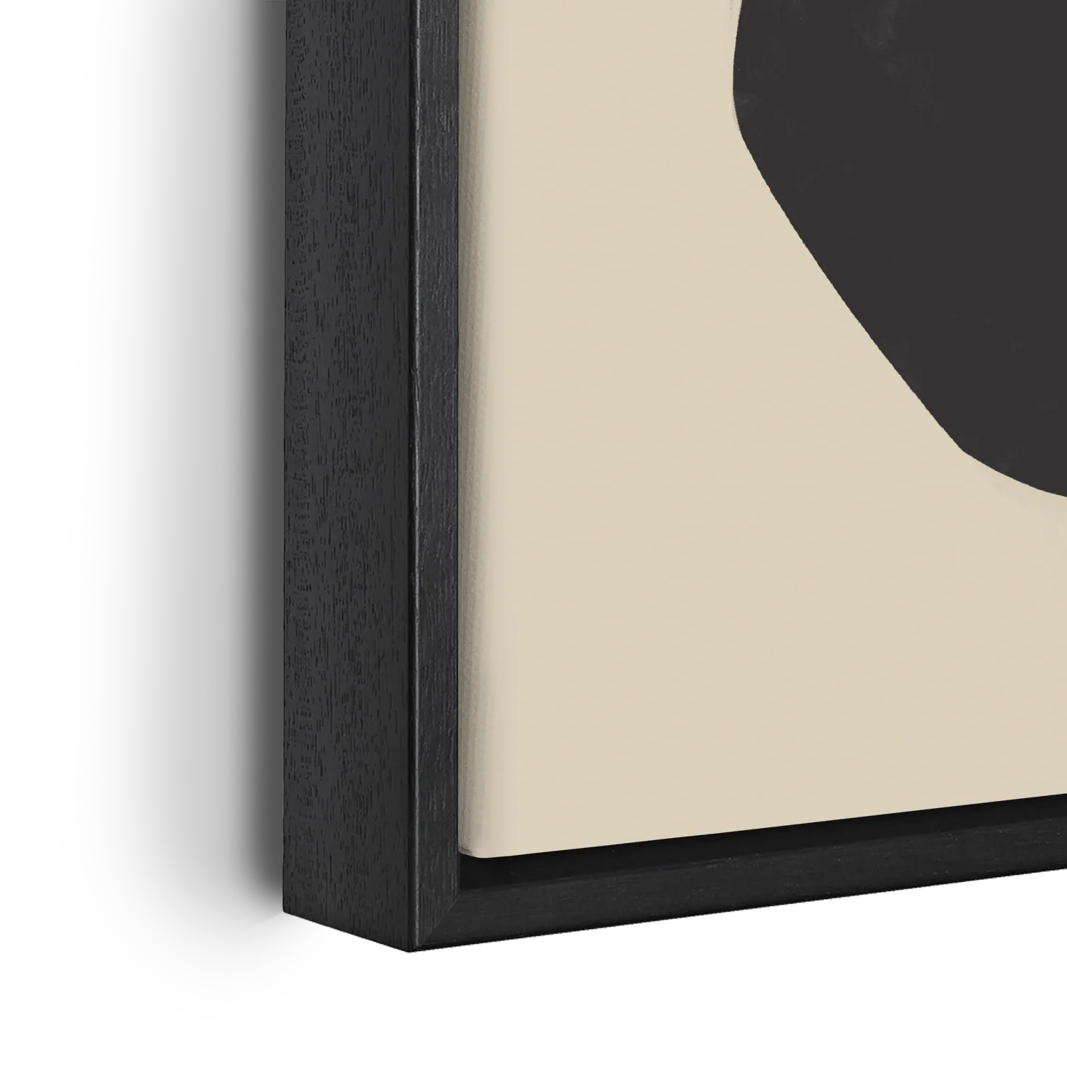 Black Neutral Anemone Flower