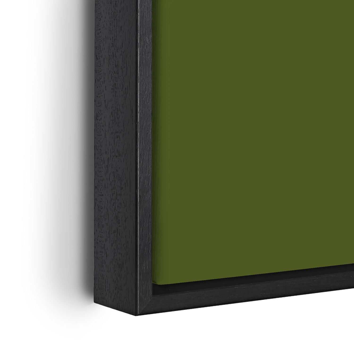 Green Anemone Flower