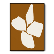 Burnt Orange Anemone Flower