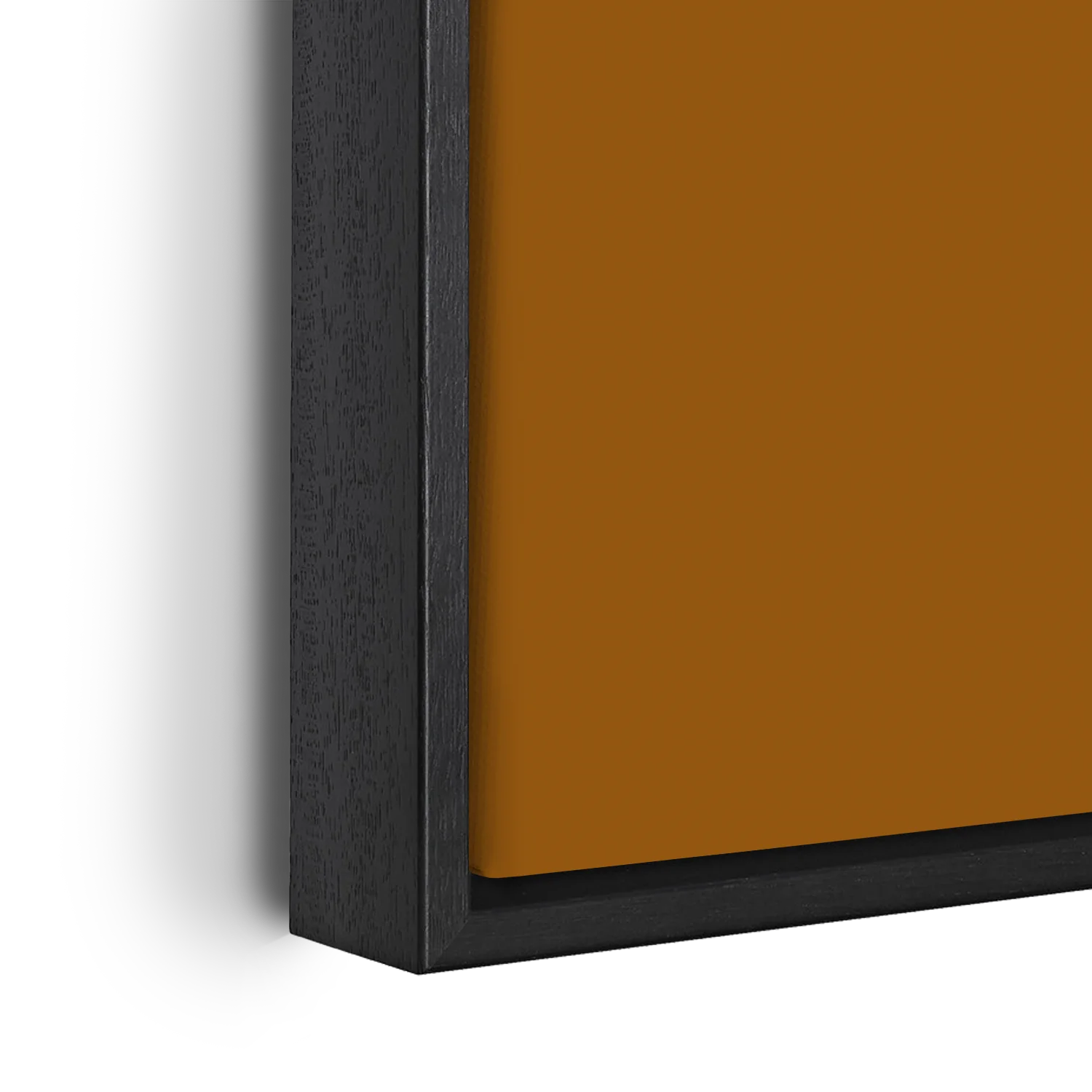 Burnt Orange Anemone Flower