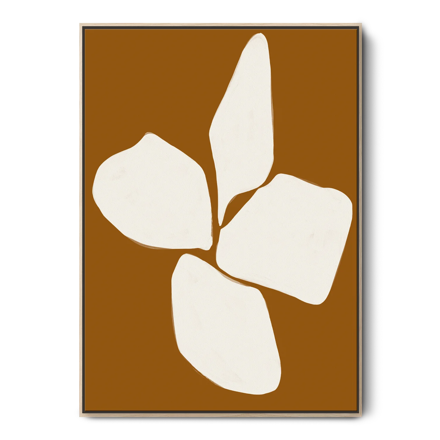 Burnt Orange Anemone Flower