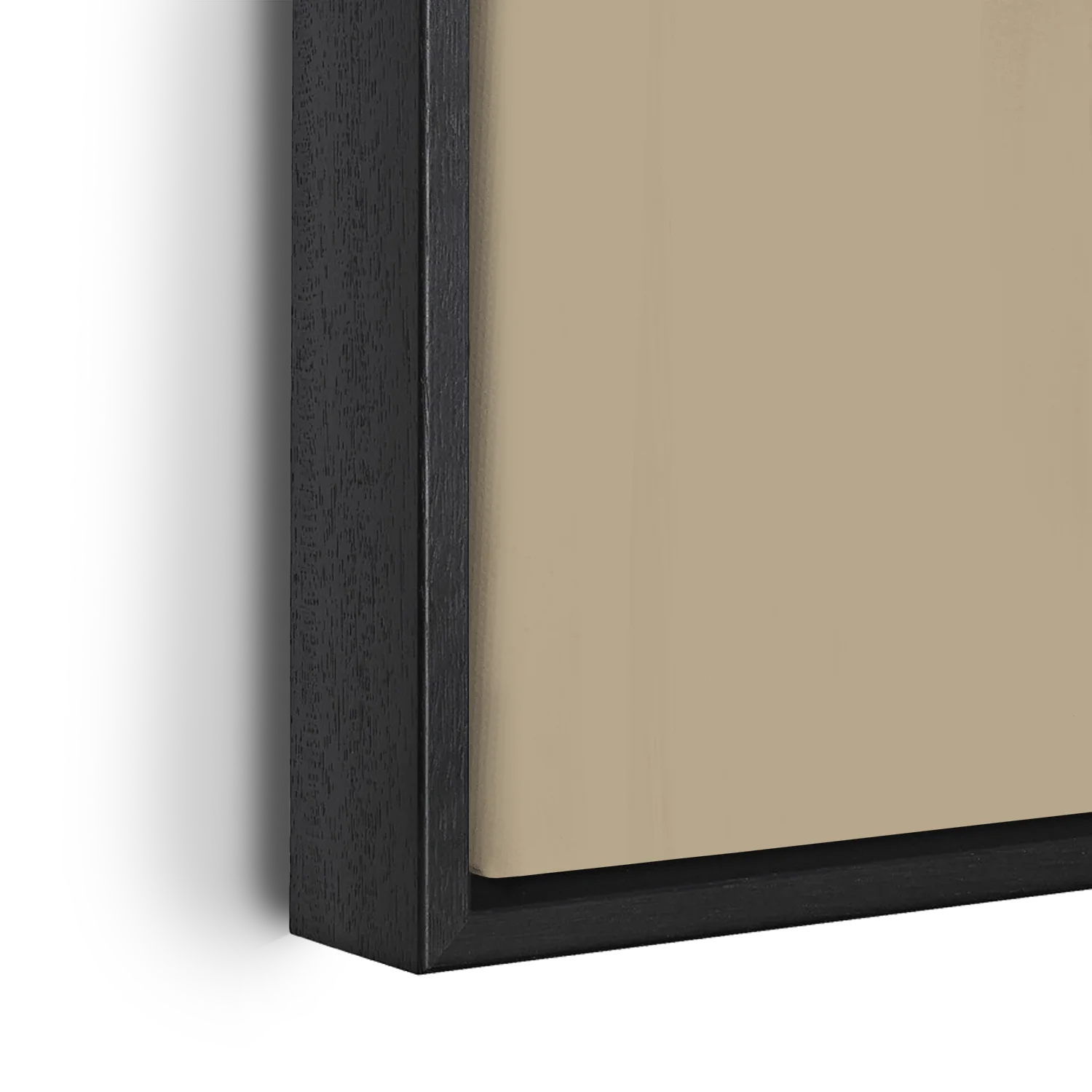 Reawaken & Rewild Set