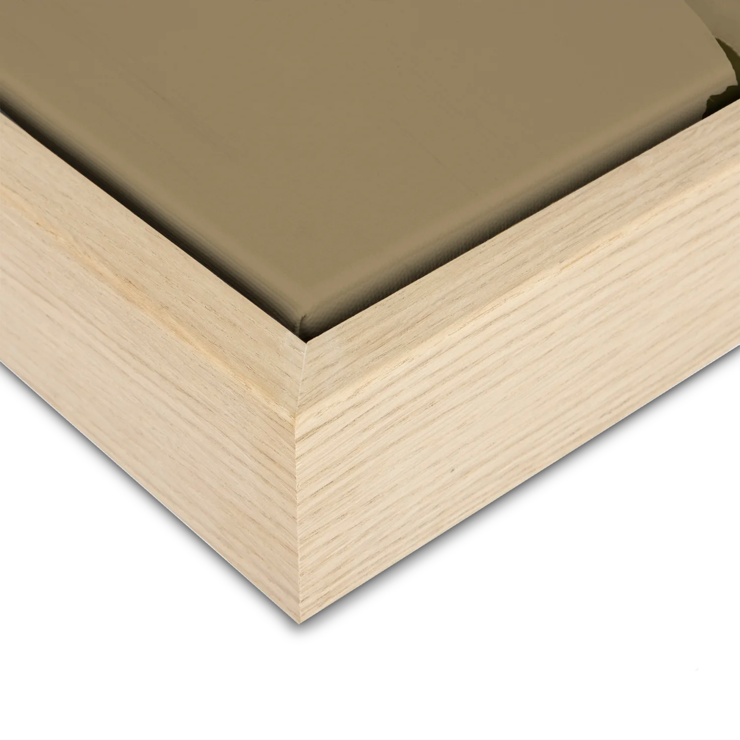 Reawaken & Rewild Set