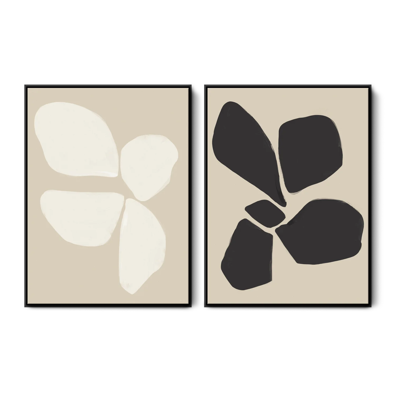 Neutral Anemone Flower Set