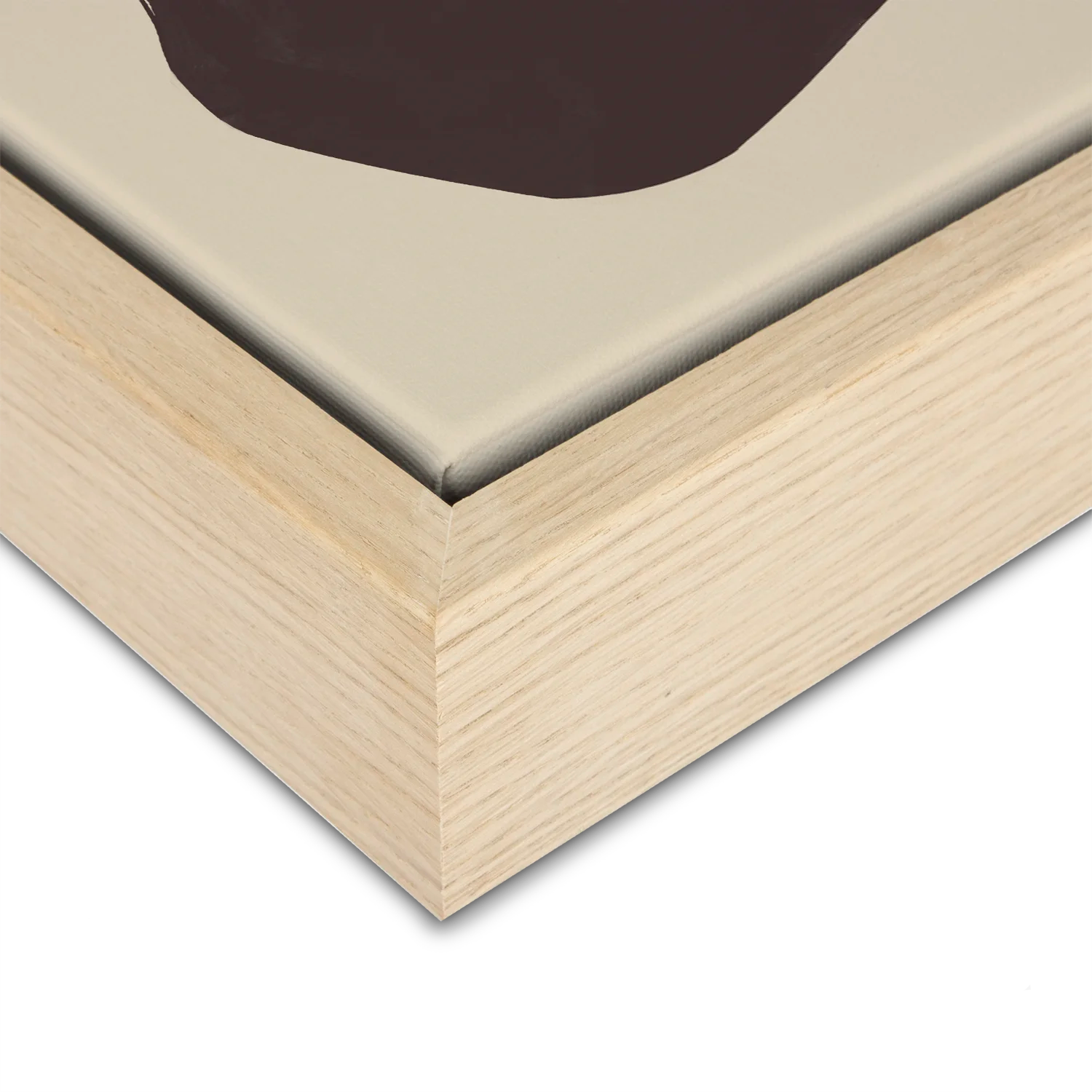 Neutral Anemone Flower Set