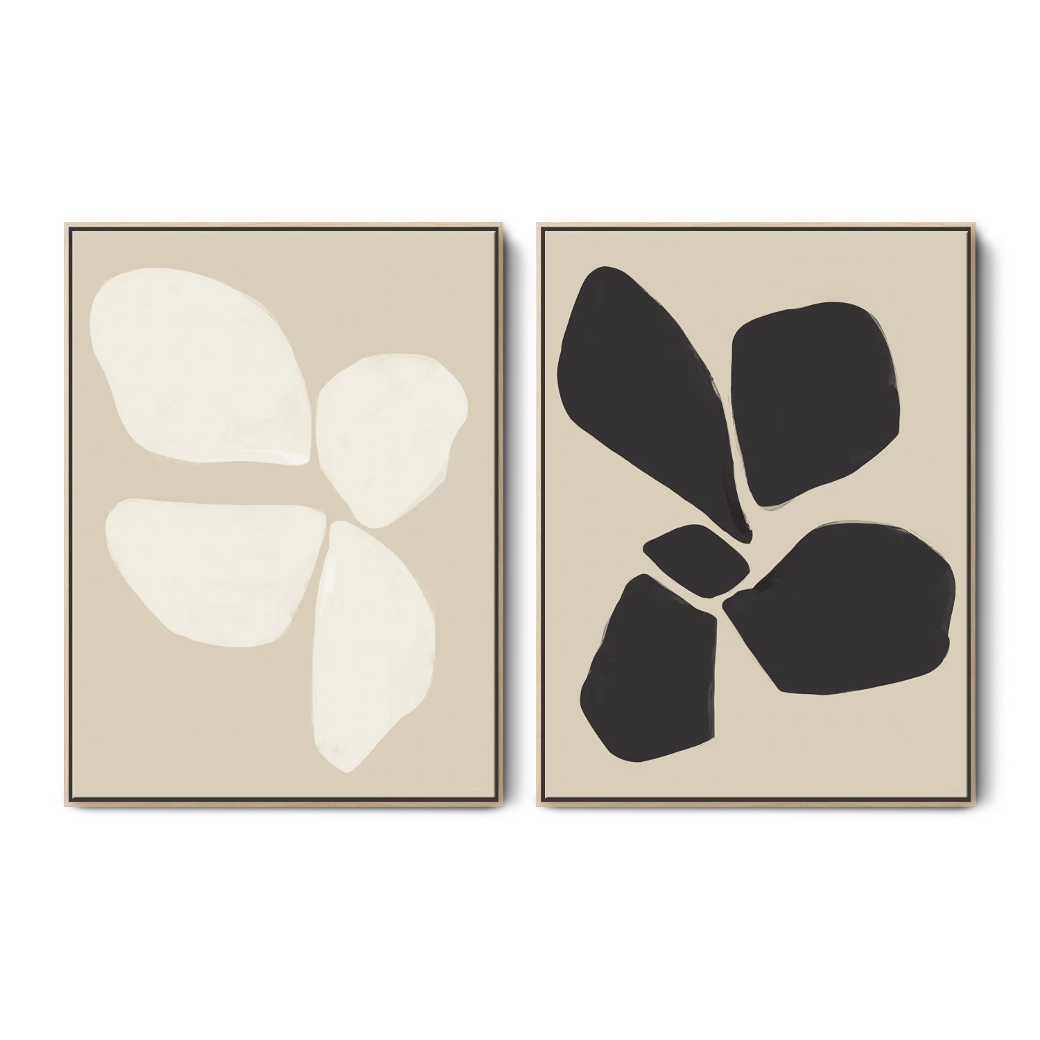 Neutral Anemone Flower Set