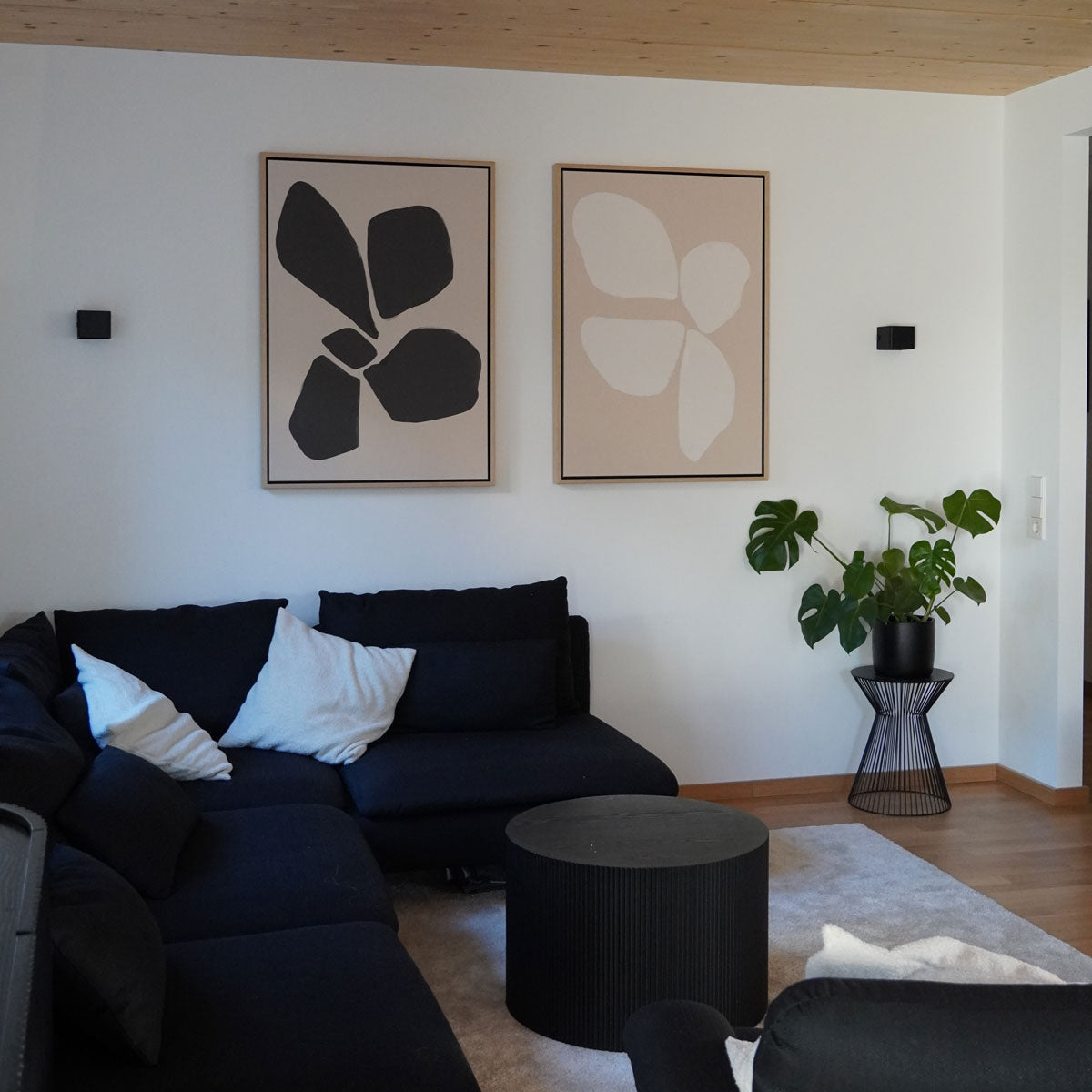 Neutral Anemone Flower Set