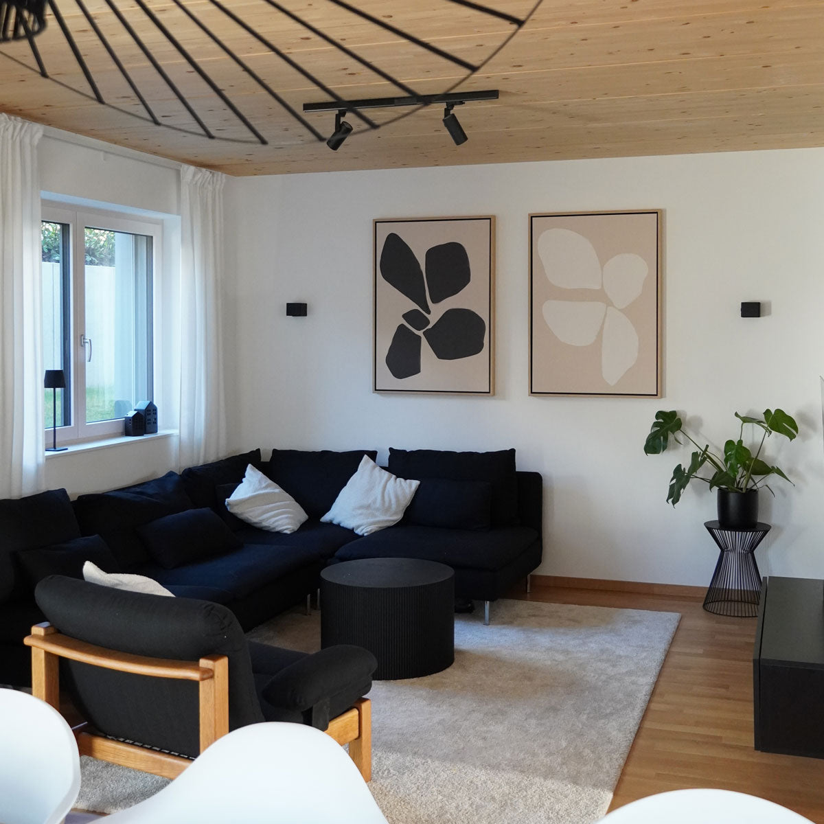 Neutral Anemone Flower Set