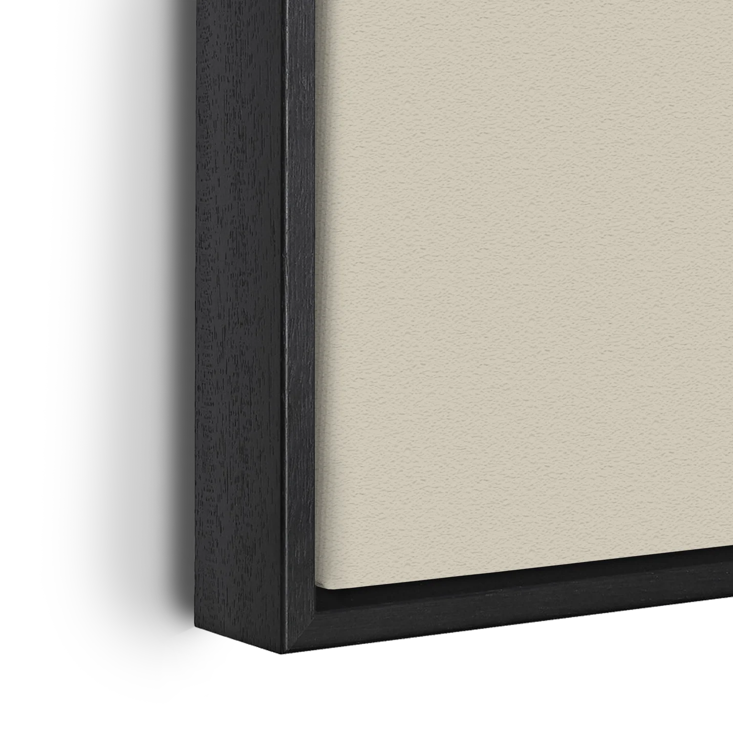 Big Botanical Leaf Set