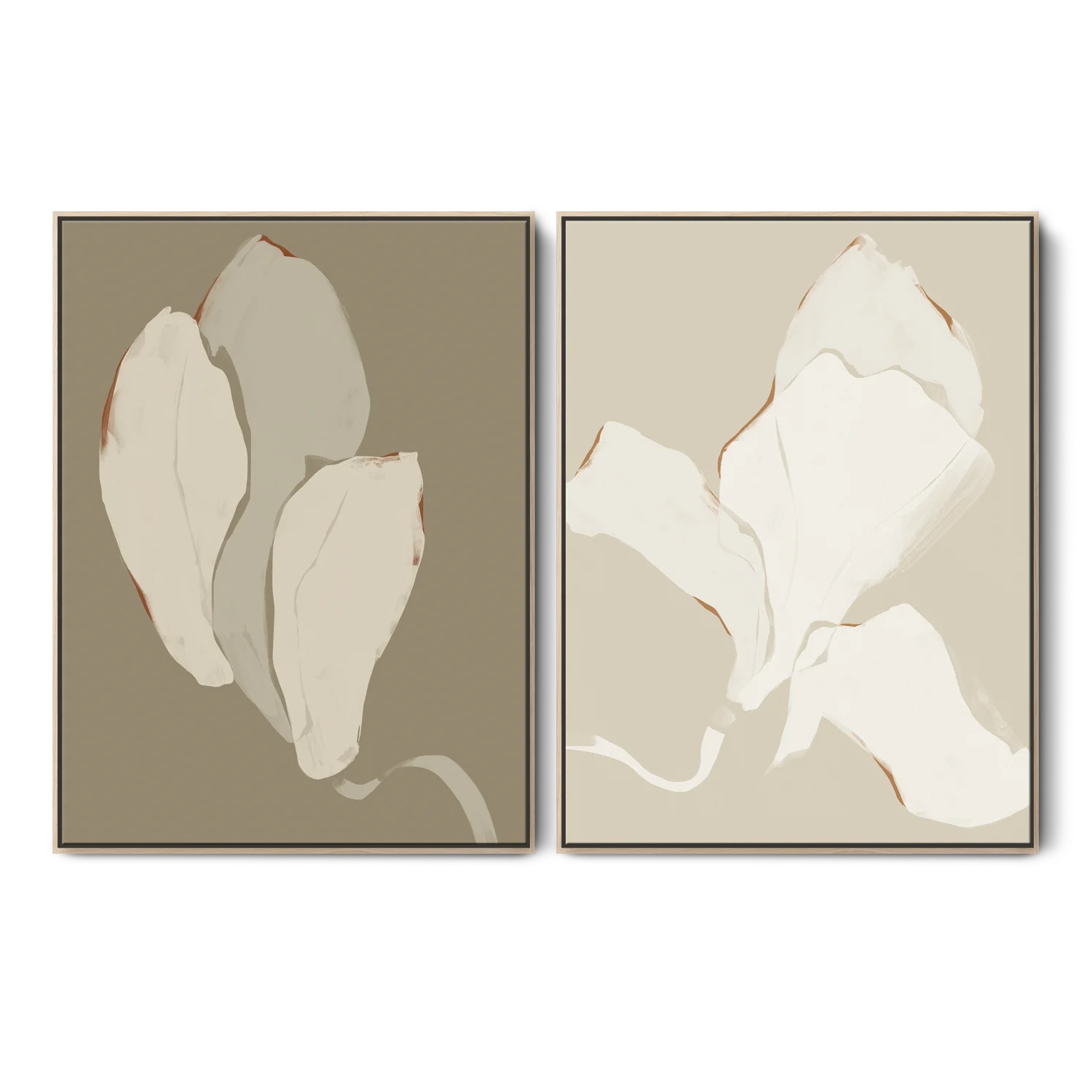 Magnolia Flower Set
