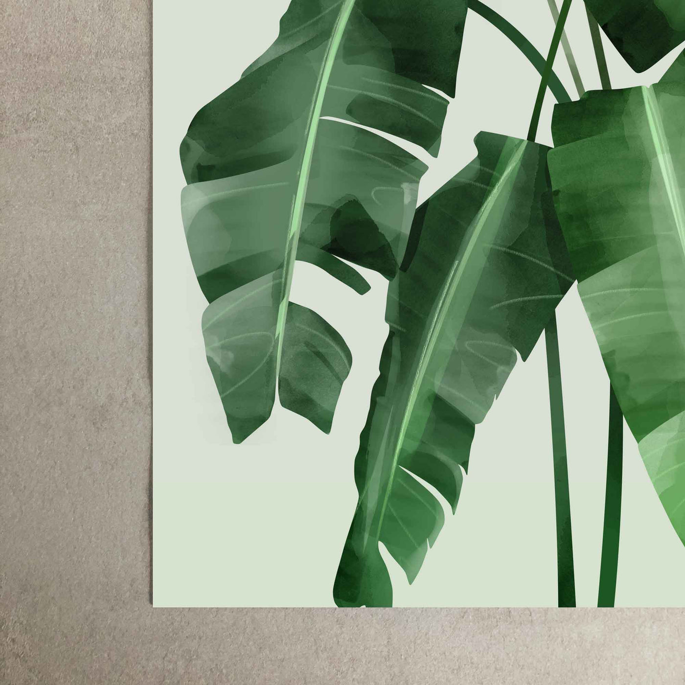 Green Lili Banana Leaves Art Print