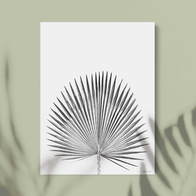 Green Lili 30x40cm / Unframed Black & White Botancial Fan Palm Art Print