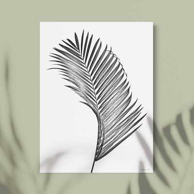 Green Lili 30x40cm / Unframed Black & White Palm Leaf Print