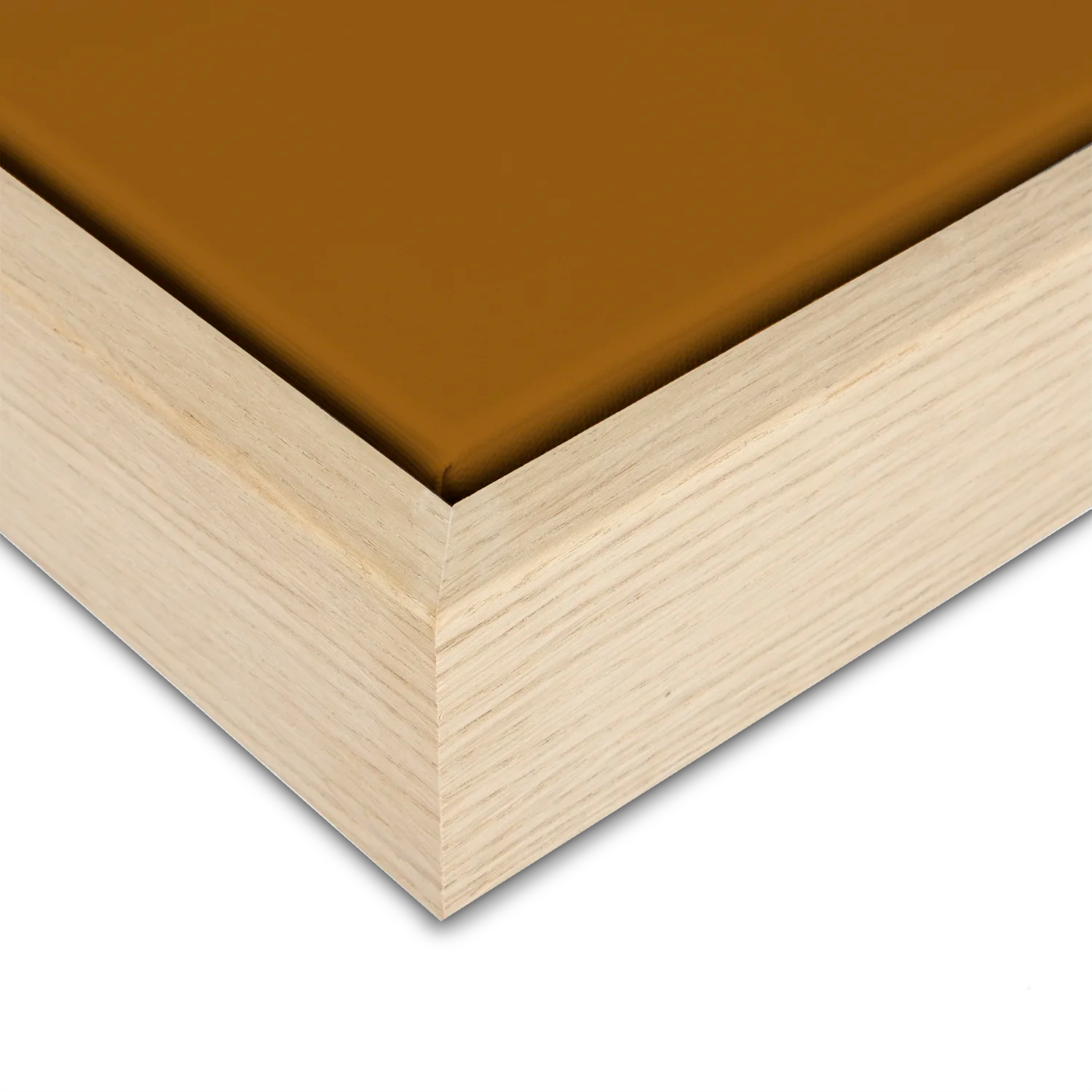 Green Lili Burnt Orange Anemone Flower