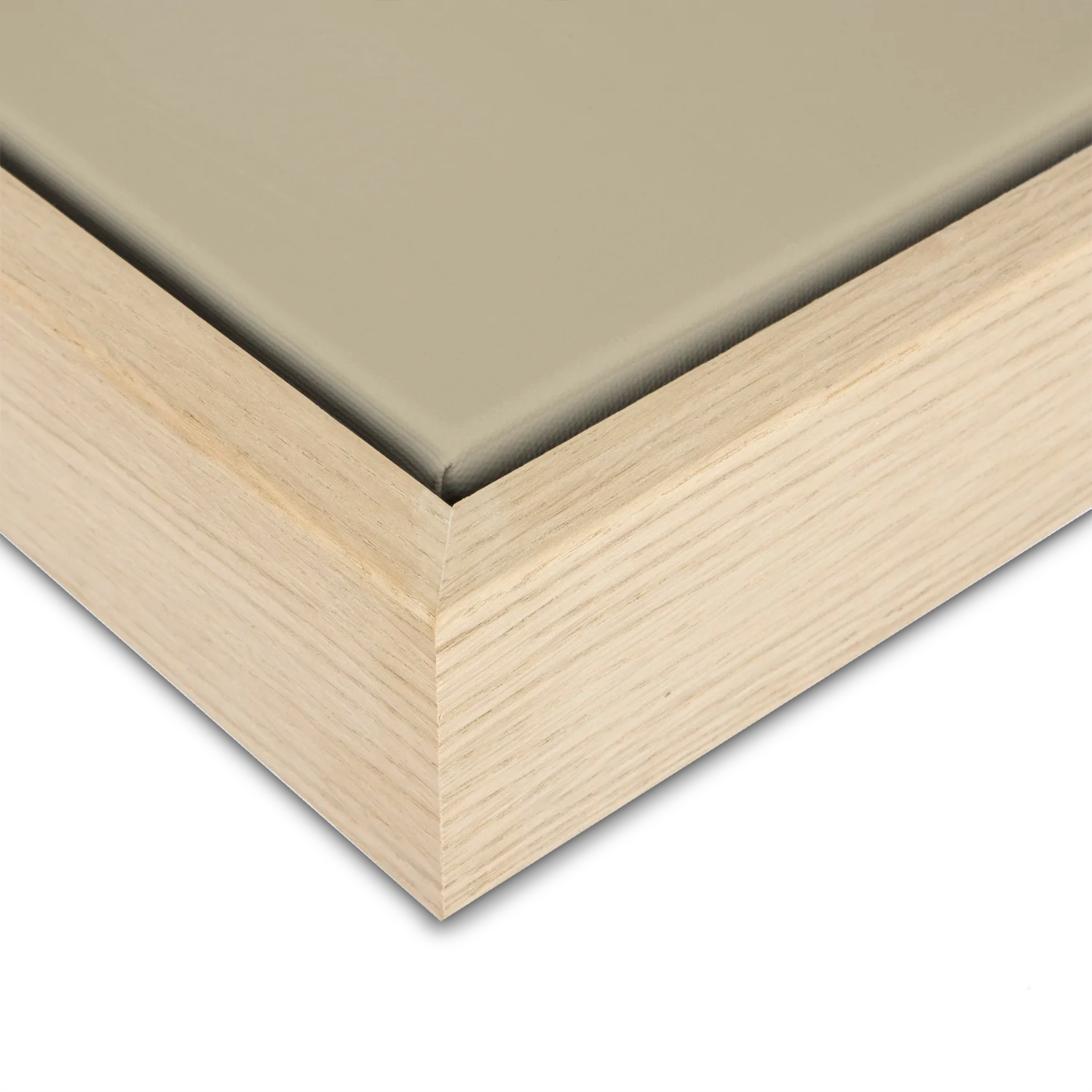 Green Lili Find Your Path Set