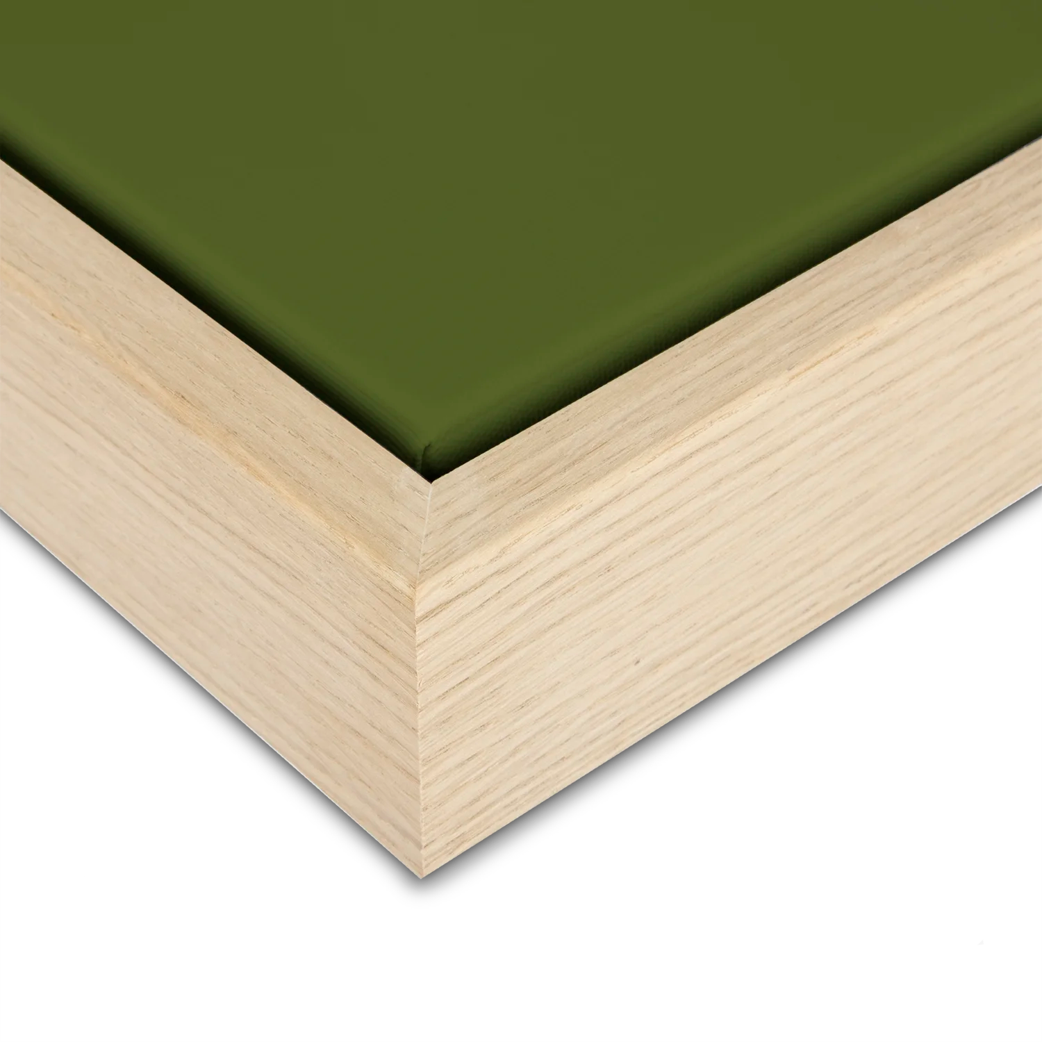 Green Lili Green Anemone Flower