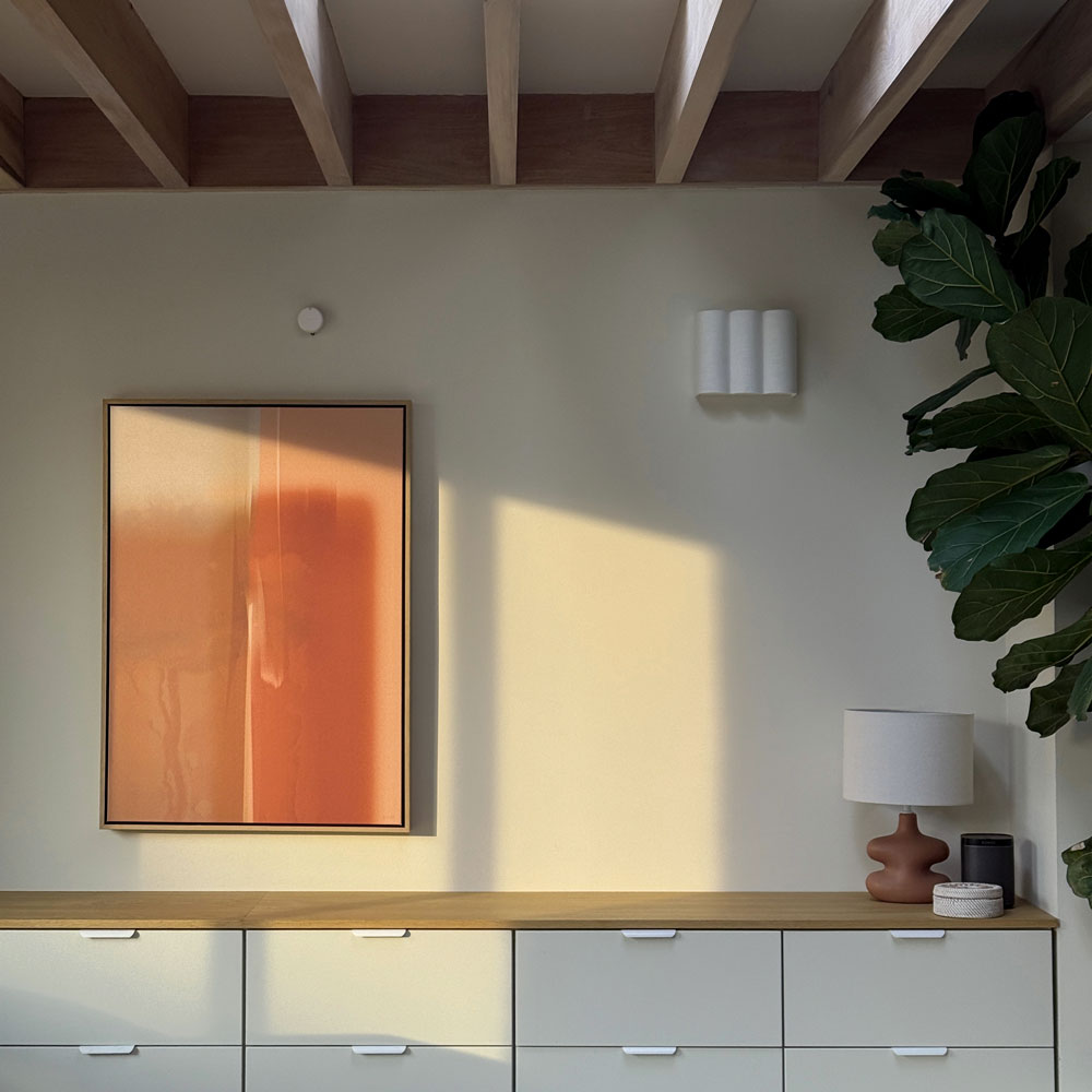 Green Lili Morning Light