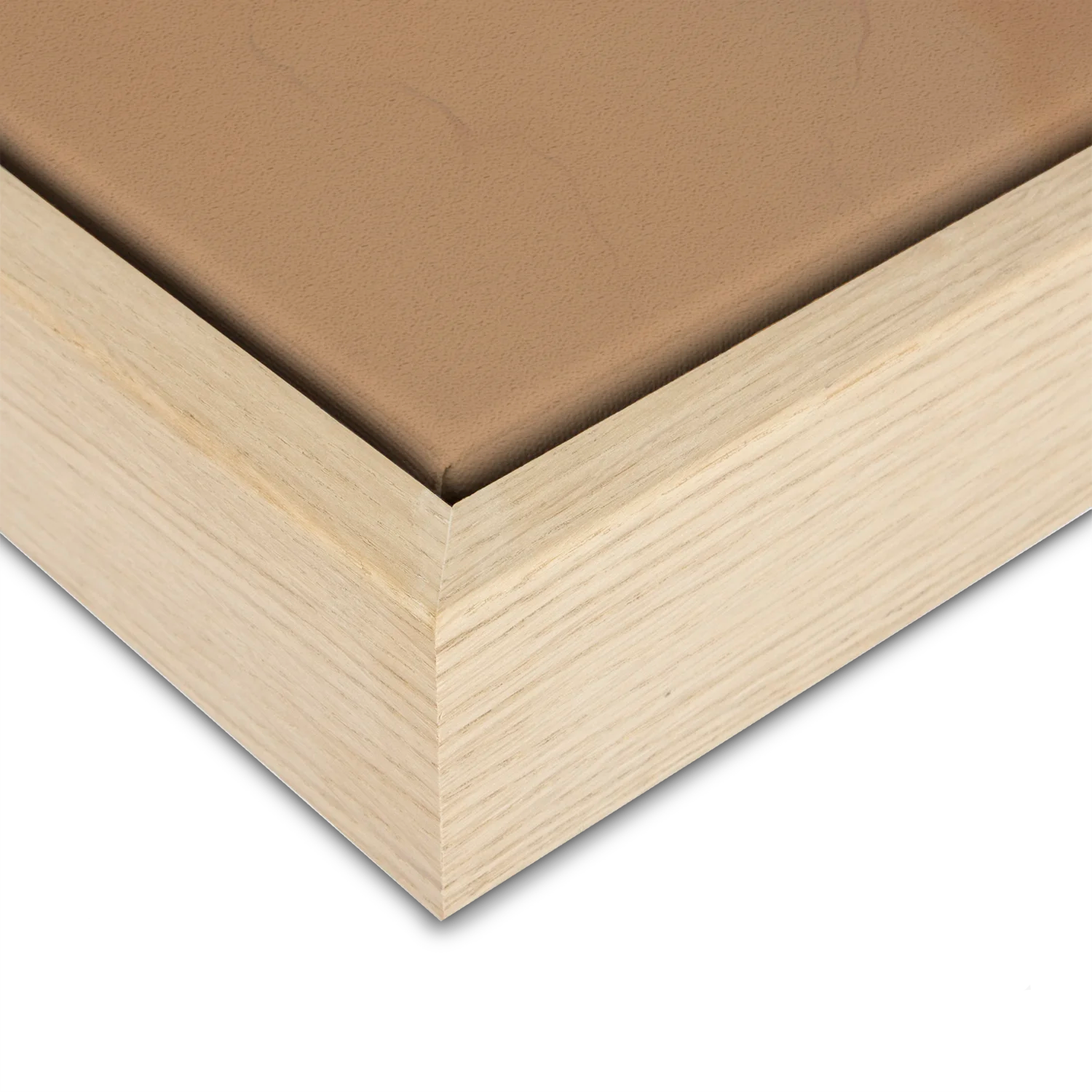 Green Lili Morning Light