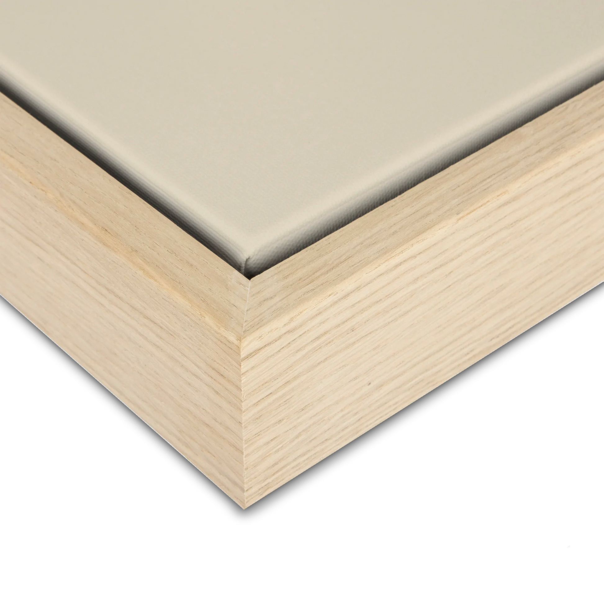 Green Lili Neutral Anemone Flower