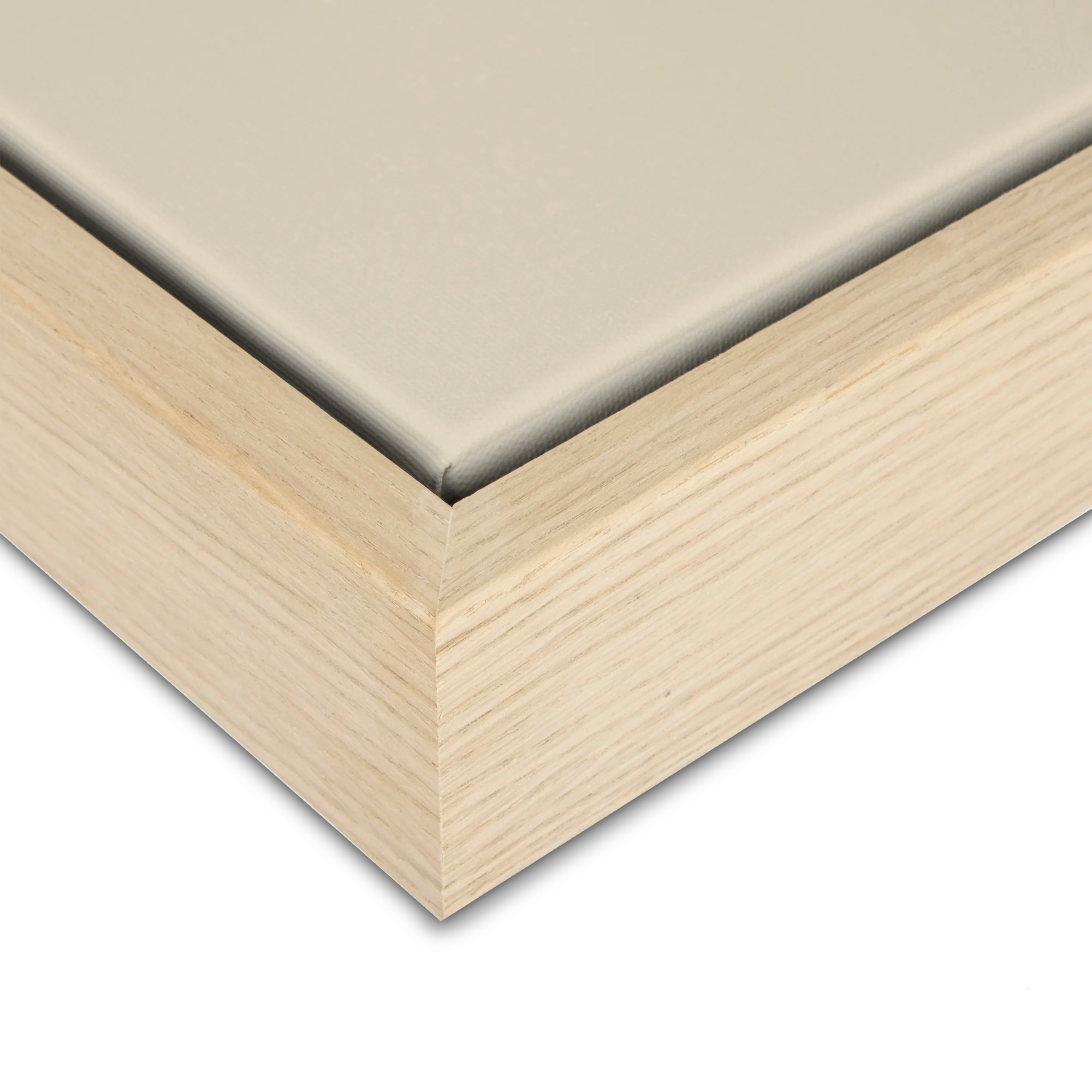 Green Lili Neutral Anemone Flower