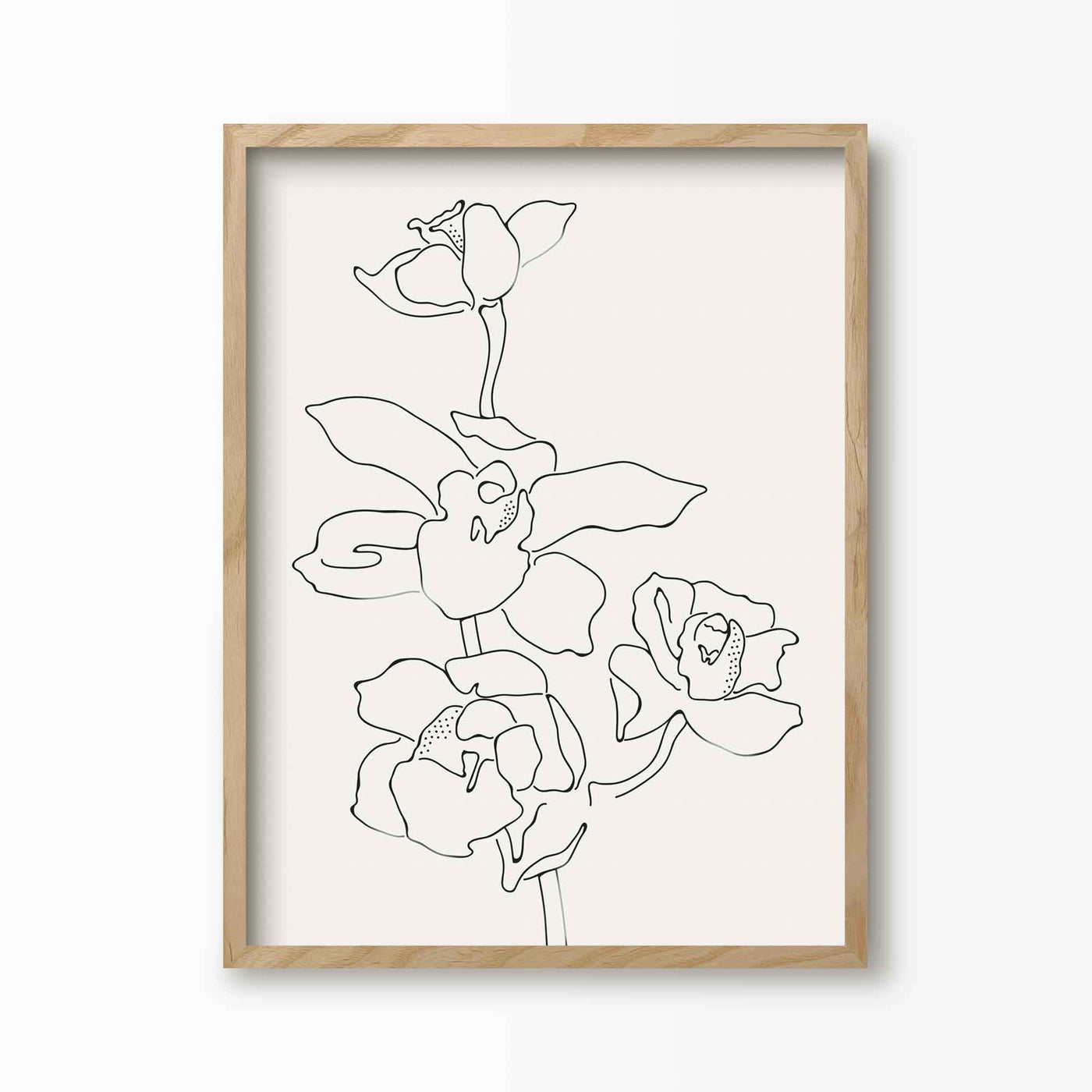 Green Lili 30x40cm / Natural Orchid Flowers 2 Line Art Print