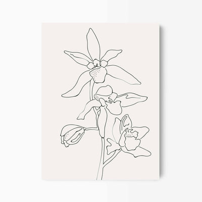 Green Lili 30x40cm / Unframed Orchid Flowers Line Art Print