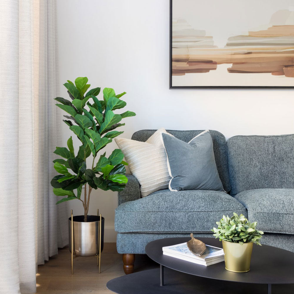 Green Lili Ready To Rock