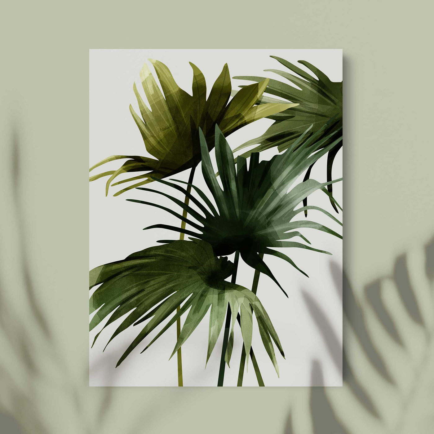 Green Lili 30x40cm / Unframed Tropical Fan Palms Art Print