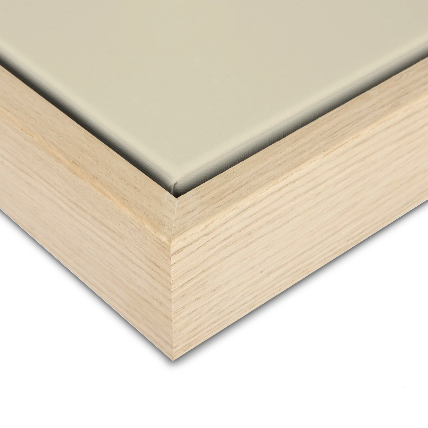 Green Lili Under The Palms