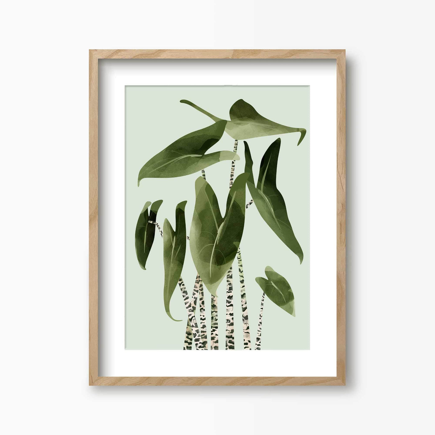 Green Lili Alocasia Zebrina Plant Print