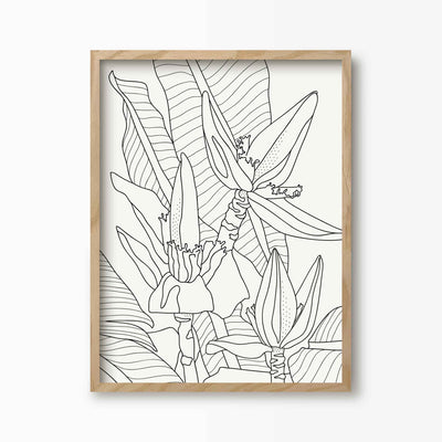 Green Lili 30x40cm (12x16") / Natural Frame Banana Flower Line Art