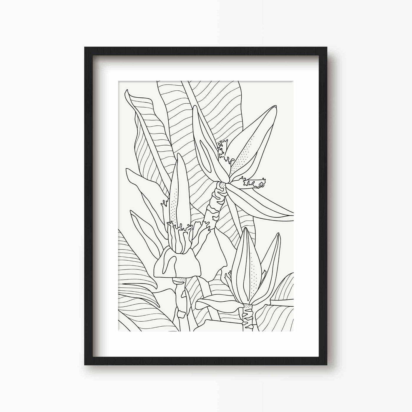 Green Lili 30x40cm (12x16") / Black Frame + Mount Banana Flower Line Art