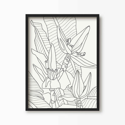 Green Lili 30x40cm (12x16") / Black Frame Banana Flower Line Art