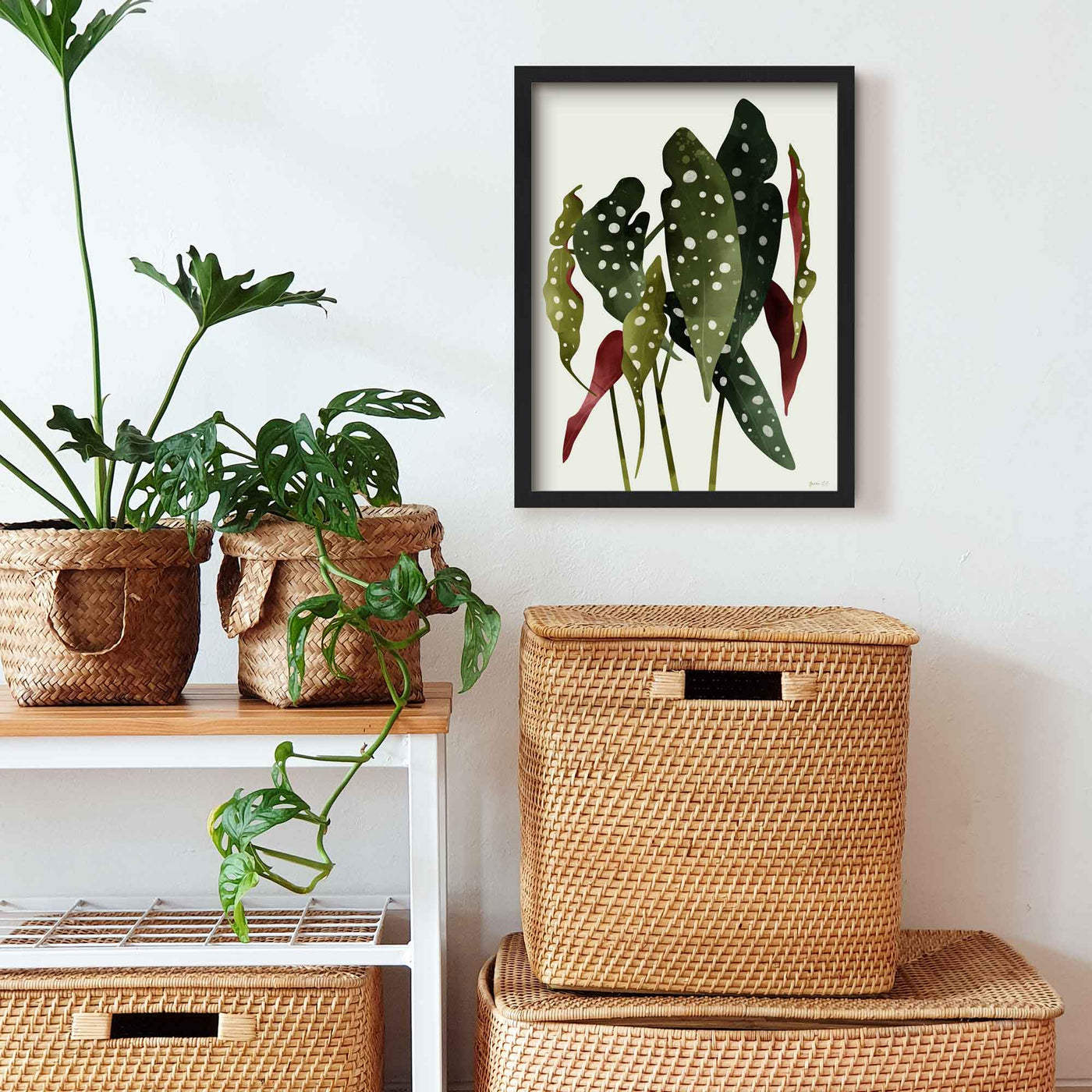 Green Lili 30x40cm (12x16") / Black Frame Begonia Maculata Plant Art Print