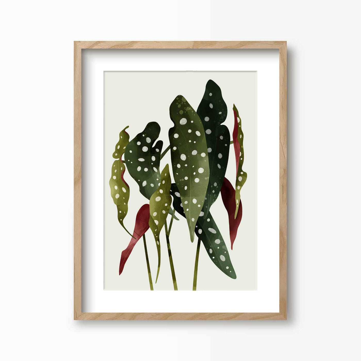 Green Lili 30x40cm (12x16") / Natural Frame + Mount Begonia Maculata Plant Art Print