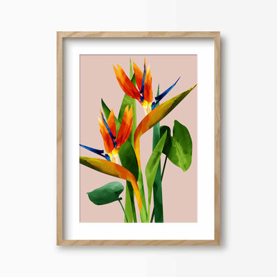 Green Lili 30x40cm (12x16") / Natural Frame + Mount Birds of Paradise Flower Print