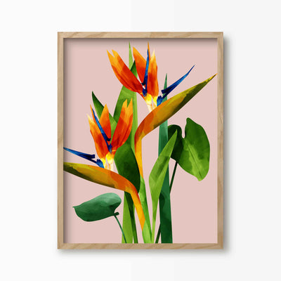 Green Lili 30x40cm (12x16") / Natural Frame Birds of Paradise Flower Print