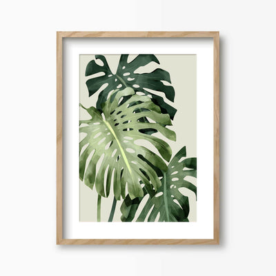 Green Lili 30x40cm (12x16") / Natural Frame + Mount Monstera Deliciosa Art Print
