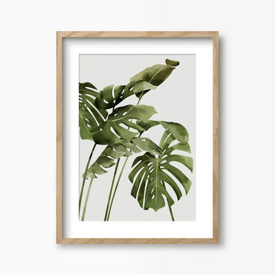Green Lili 30x40cm (12x16") / Natural Frame + Mount Monstera Palms Art Print