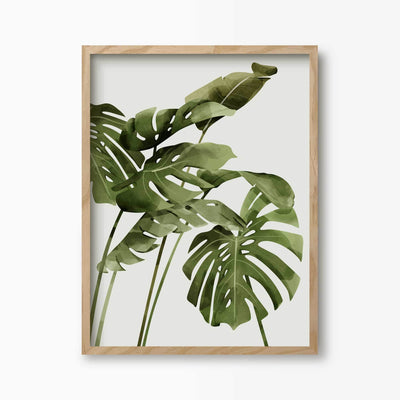 Green Lili 30x40cm (12x16") / Natural Frame Monstera Palms Art Print