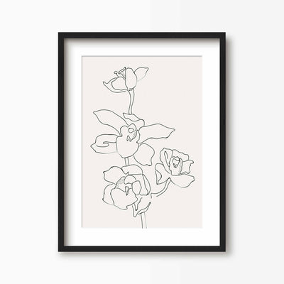 Green Lili 30x40cm (12x16") / Black Frame + Mount Orchid Flowers 2 Line Art Print