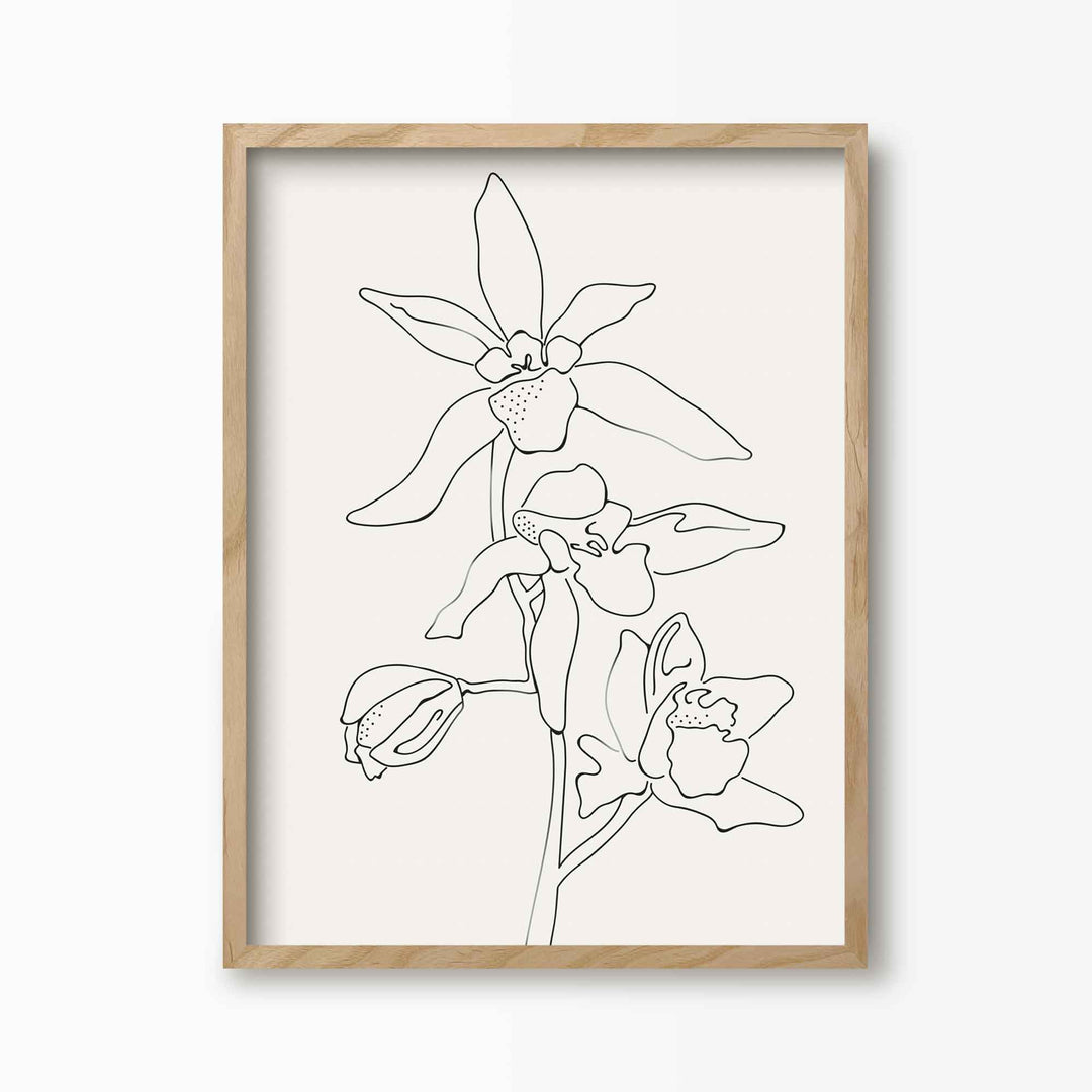 Green Lili 30x40cm (12x16") / Natural Frame Orchid Flowers Line Art Print