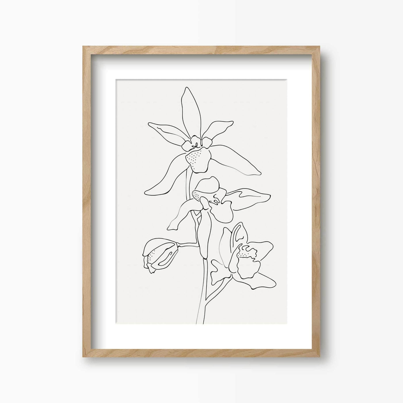 Green Lili 30x40cm (12x16") / Natural Frame + Mount Orchid Flowers Line Art Print