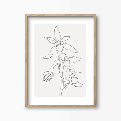 Green Lili 30x40cm (12x16") / Natural Frame + Mount Orchid Flowers Line Art Print