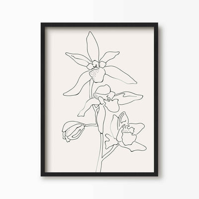 Green Lili 30x40cm (12x16") / Black Frame Orchid Flowers Line Art Print