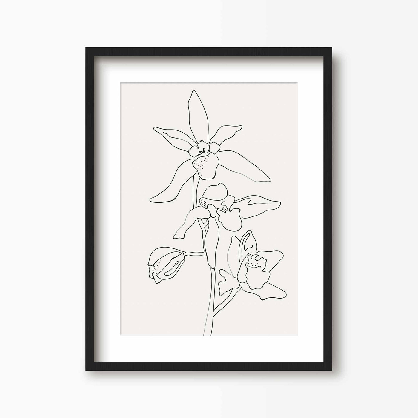 Green Lili 30x40cm (12x16") / Black Frame + Mount Orchid Flowers Line Art Print