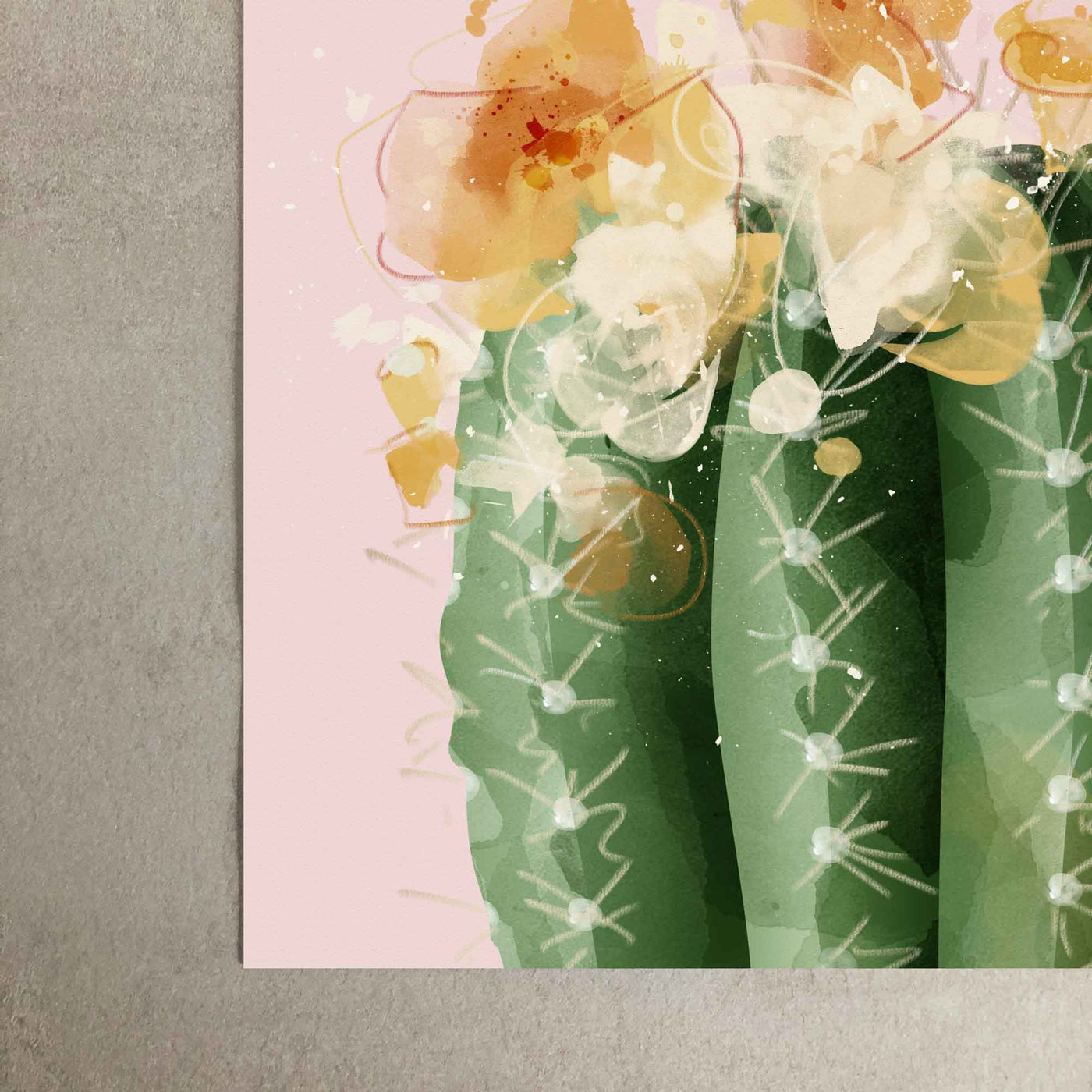 Green Lili Pink Flowering Barrel Cactus Print