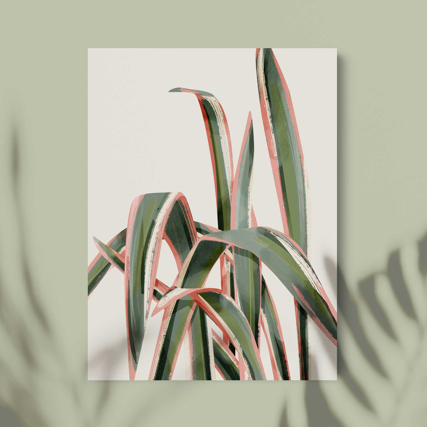 Green Lili 30x40cm (12x16") / Unframed Print Pink Spider Plant Print